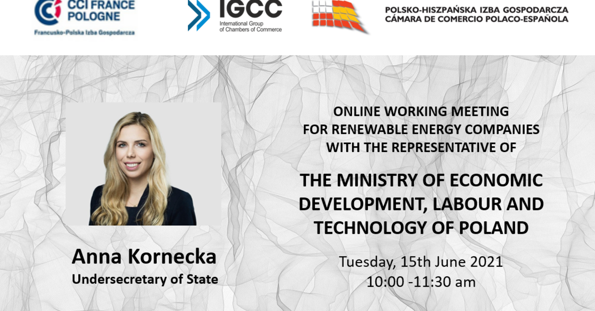 The Igcc Online Working Meeting With The Undersecretary Of State At The Ministry Of Economic Development Labour And Technology Of Poland Ms Anna Kornecka Cci France Pologne